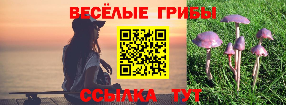 Галлюциногенные грибы MAGIC MUSHROOMS Лыткарино